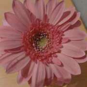 みみ 朝散歩〜新大久保編〜 出会い系人妻ネットワーク さいたま～大宮編