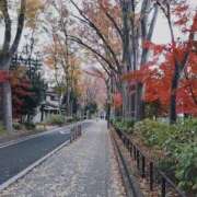 みみ 🌈お礼🌈 出会い系人妻ネットワーク さいたま～大宮編