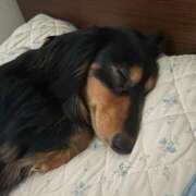 ヒメ日記 2025/12/20 00:42 投稿 あすか セレブクエスト-Nishikawa-