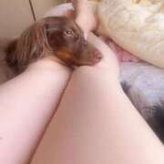 あすか 今日は… セレブクエスト-omiya-