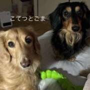 ヒメ日記 2026/01/25 07:14 投稿 あすか セレブクエスト-omiya-