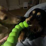 ヒメ日記 2026/01/28 16:02 投稿 あすか セレブクエスト-omiya-