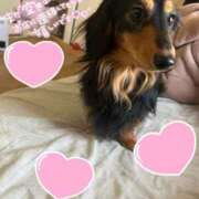 ヒメ日記 2026/01/31 08:23 投稿 あすか セレブクエスト-omiya-