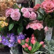 ヒメ日記 2026/02/02 05:39 投稿 あすか セレブクエスト-omiya-