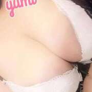 ヒメ日記 2025/12/28 17:31 投稿 ゆみ 愛知三河安城岡崎ちゃんこ