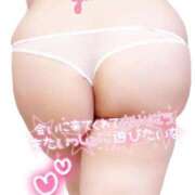 ヒメ日記 2025/12/29 17:50 投稿 ゆみ 愛知三河安城岡崎ちゃんこ