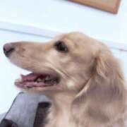 ヒメ日記 2026/01/09 16:33 投稿 あすか セレブクエスト-Kawagoe-