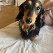 ヒメ日記 2026/01/27 05:24 投稿 あすか セレブクエスト-Kawagoe-