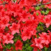 瑛奈(えな) Ｎ様へ…💌💗 可憐な妻たち 高崎店