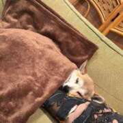 ヒメ日記 2025/12/23 07:39 投稿 ねむ SOAPLAND COSPA SAPPORO