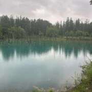 ヒメ日記 2026/01/23 21:29 投稿 ねむ SOAPLAND COSPA SAPPORO