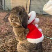 ヒメ日記 2025/12/10 20:45 投稿 みつき 完熟ばなな新宿