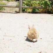 ヒメ日記 2025/11/29 23:34 投稿 聖音-Sein- マニア東京　Mフェチ・アブノーマル専門店