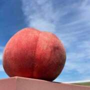 ヒメ日記 2025/12/27 17:18 投稿 聖音-Sein- マニア東京　Mフェチ・アブノーマル専門店