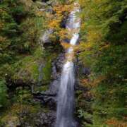 ヒメ日記 2026/01/01 18:41 投稿 聖音-Sein- マニア東京　Mフェチ・アブノーマル専門店