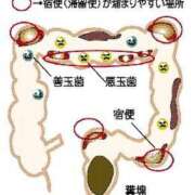 ヒメ日記 2026/02/04 00:08 投稿 聖音-Sein- マニア東京　Mフェチ・アブノーマル専門店