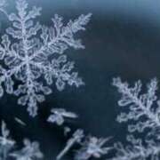 ヒメ日記 2026/02/07 15:11 投稿 聖音-Sein- マニア東京　Mフェチ・アブノーマル専門店