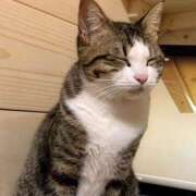 ヒメ日記 2026/02/26 14:30 投稿 聖音-Sein- マニア東京　Mフェチ・アブノーマル専門店