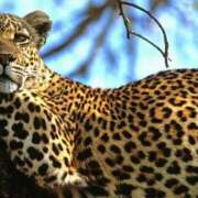 ヒメ日記 2026/03/11 16:33 投稿 聖音-Sein- マニア東京　Mフェチ・アブノーマル専門店