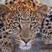 ヒメ日記 2026/03/13 00:46 投稿 聖音-Sein- マニア東京　Mフェチ・アブノーマル専門店