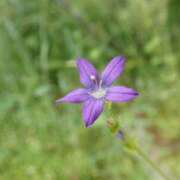 ヒメ日記 2026/04/14 07:31 投稿 聖音-Sein- マニア東京　Mフェチ・アブノーマル専門店