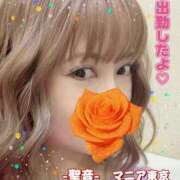 ヒメ日記 2026/04/14 13:30 投稿 聖音-Sein- マニア東京　Mフェチ・アブノーマル専門店