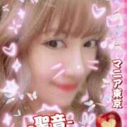 ヒメ日記 2026/04/15 20:52 投稿 聖音-Sein- マニア東京　Mフェチ・アブノーマル専門店