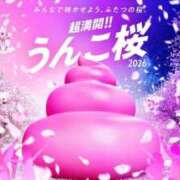 ヒメ日記 2026/04/17 14:28 投稿 聖音-Sein- マニア東京　Mフェチ・アブノーマル専門店