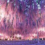 聖音-Sein- 変態観測💜 マニア東京　Mフェチ・アブノーマル専門店