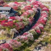 ヒメ日記 2026/04/29 09:41 投稿 聖音-Sein- マニア東京　Mフェチ・アブノーマル専門店