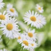 ヒメ日記 2026/01/24 10:00 投稿 長門 誘惑マル秘ミセス