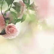 ヒメ日記 2026/02/01 12:44 投稿 長門 誘惑マル秘ミセス