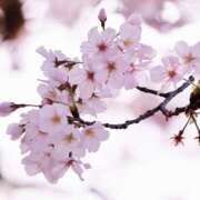 ヒメ日記 2026/03/07 12:00 投稿 長門 誘惑マル秘ミセス