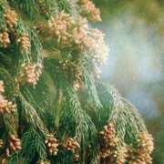 ヒメ日記 2026/03/10 14:10 投稿 長門 誘惑マル秘ミセス