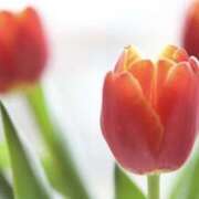 ヒメ日記 2026/03/13 15:00 投稿 長門 誘惑マル秘ミセス