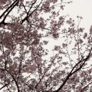 ヒメ日記 2026/03/25 12:30 投稿 長門 誘惑マル秘ミセス