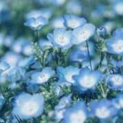 ヒメ日記 2026/03/28 10:00 投稿 長門 誘惑マル秘ミセス