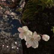 ヒメ日記 2026/04/01 10:00 投稿 長門 誘惑マル秘ミセス