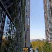 ヒメ日記 2025/11/29 22:45 投稿 あおい 艶姫（つやひめ）