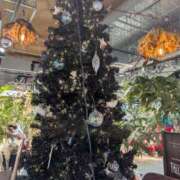 ヒメ日記 2025/11/29 23:01 投稿 あおい 艶姫（つやひめ）