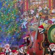 あおい ⭐️急遽変更⭐️ 艶姫（つやひめ）