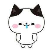 あおい ただいま 新宿プチドール