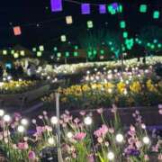 ヒメ日記 2026/01/22 17:12 投稿 音羽（おとは） 熟女の風俗最終章 名古屋店