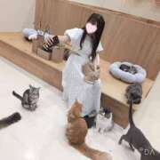 ましろ 明日（きょう）しゅっきん！ 深海魚