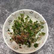 ヒメ日記 2026/04/14 21:40 投稿 じゅりあ 奥様電車