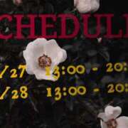 ヒメ日記 2025/12/23 18:14 投稿 まい 千葉松戸ちゃんこ