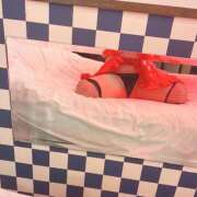 ヒメ日記 2025/11/29 15:03 投稿 ひなた ちゃんこ本厚木店