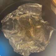 ヒメ日記 2025/12/14 12:51 投稿 小鳥遊れもん やみつきエステ千葉栄町店