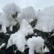 ヒメ日記 2026/02/08 16:46 投稿 小鳥遊れもん やみつきエステ千葉栄町店