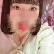 ヒメ日記 2025/11/24 19:24 投稿 さくら ふわふわコレクション